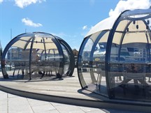 Summertime Dining Domes