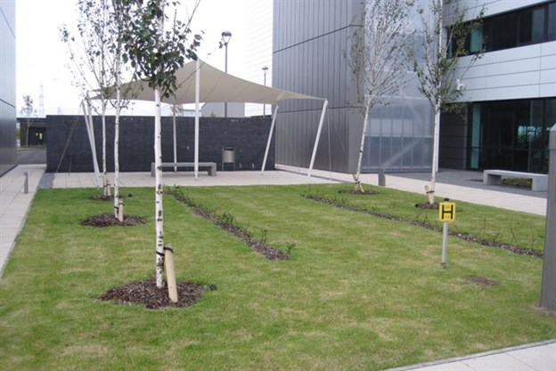 Shade Canopy, Maxim Park, Eurocentral